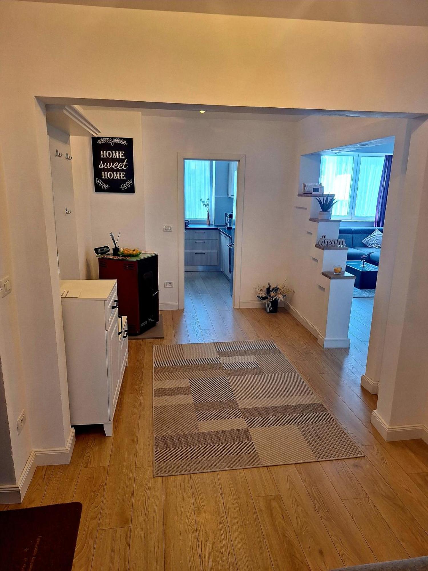 Apartament Central Вишово-Вижнє Екстер'єр фото